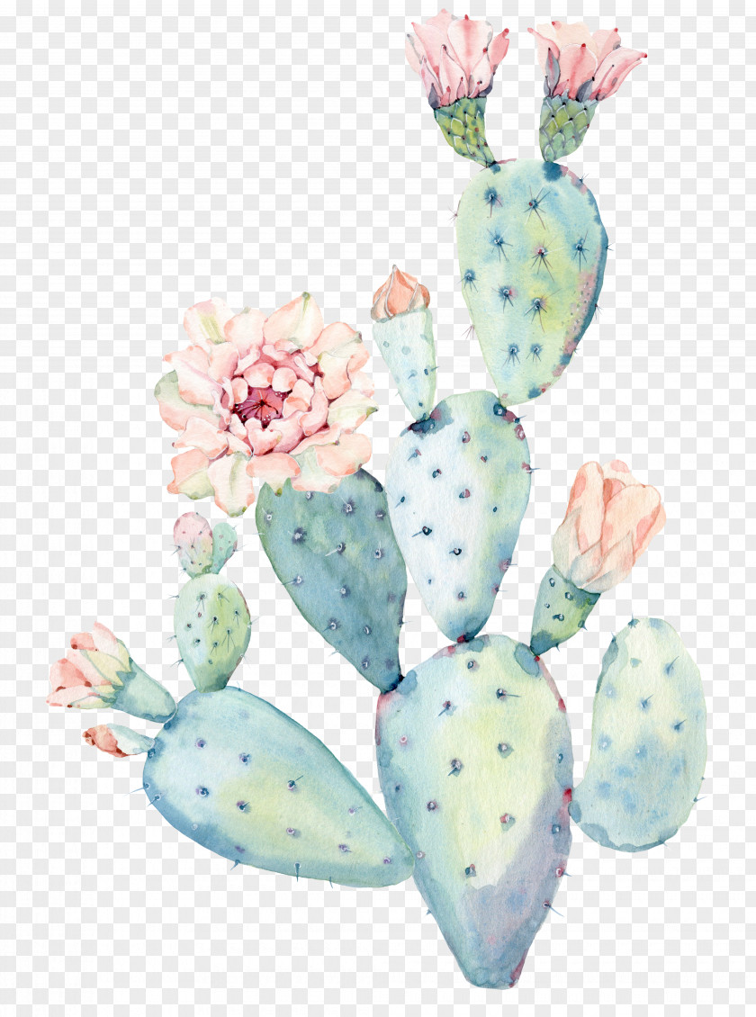 Cactus Cactaceae Watercolor Painting Saguaro PNG