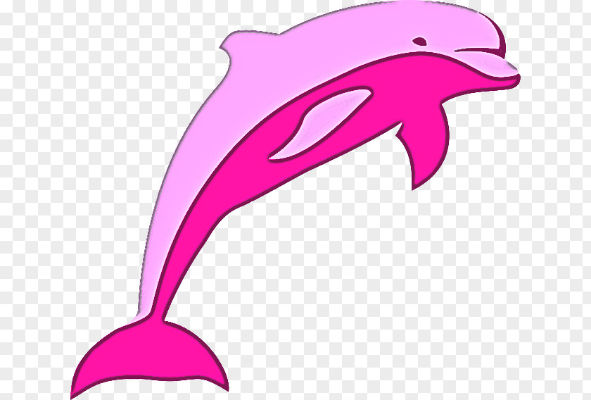 Dolphin Bottlenose Pink Short-beaked Common Fin PNG