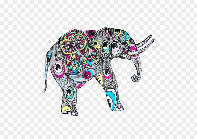 Elephant African Big Elephants Color PNG