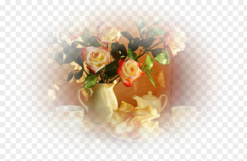 цветы акварель Garden Roses Flower Morning Facebook Blog PNG