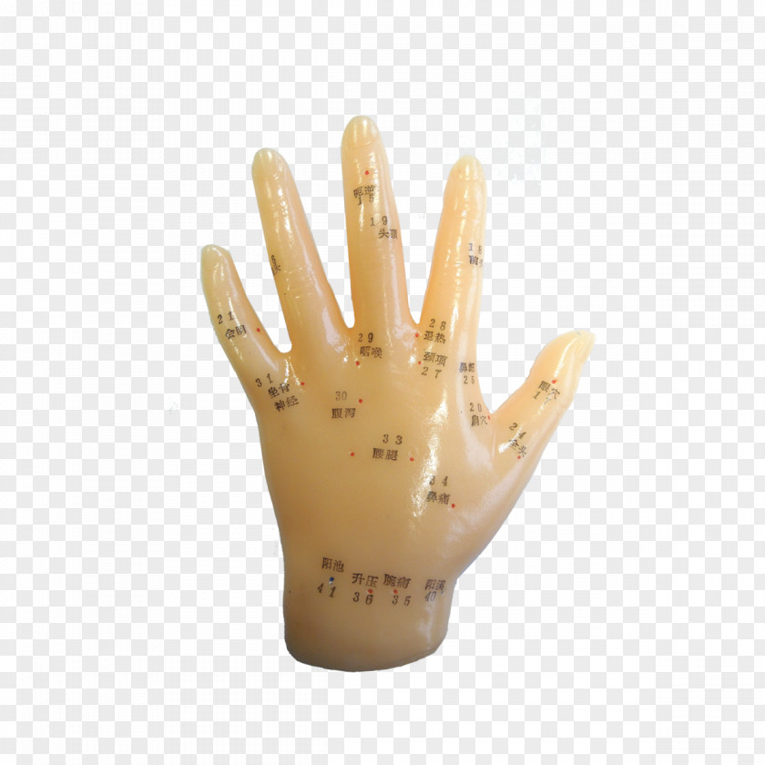 Hand Model Finger Glove Acupuncture PNG