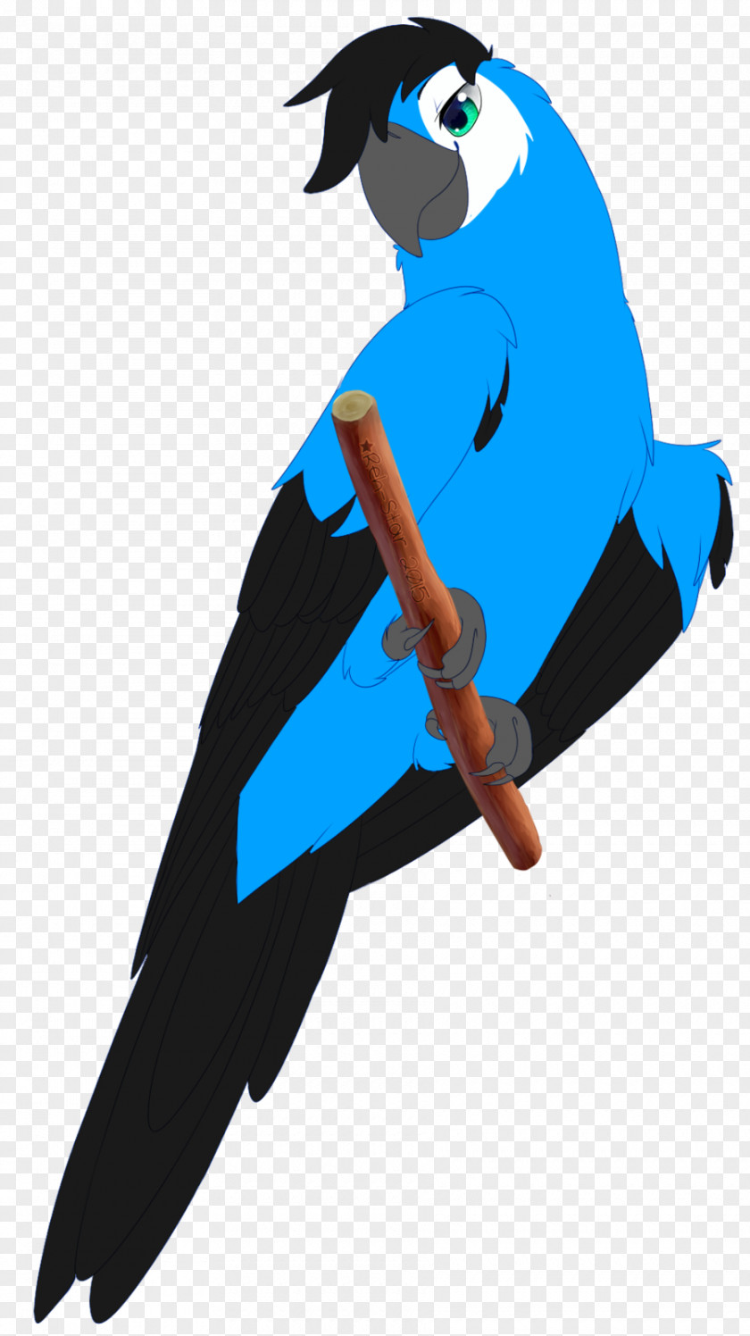 Macaw Spix's Beak Fan Art Blue-and-yellow PNG