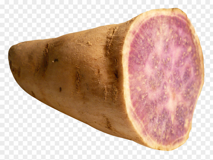Sweet Potato Yam PNG
