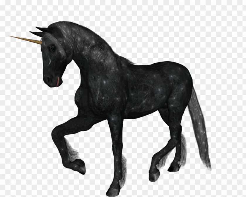 Unicorn Thin The Black Horse Clip Art PNG