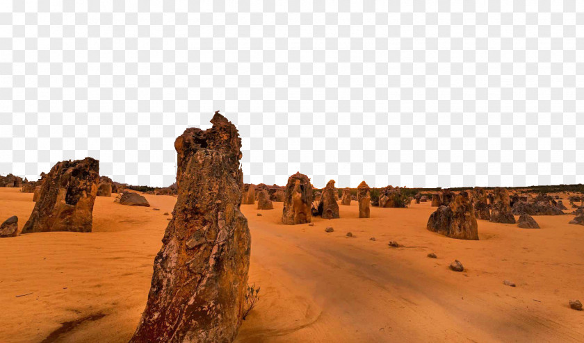 Australia Pinnacles Attractions The Mojave Desert Thar Deserts Of Nambung National Park PNG