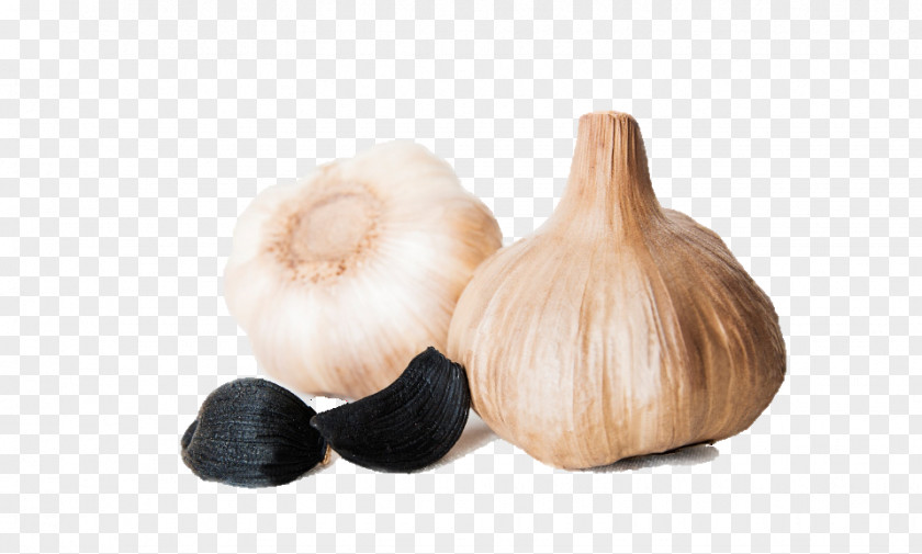 BLACK GARLIC Garlic PNG