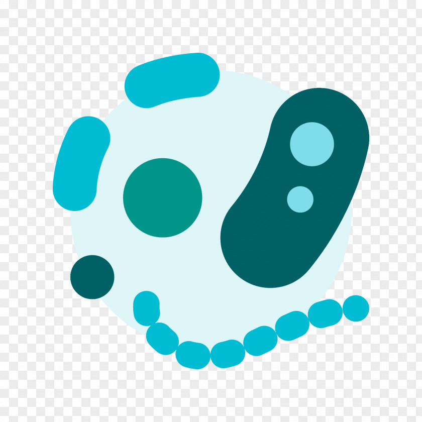 Organism Microorganism Bacteria PNG