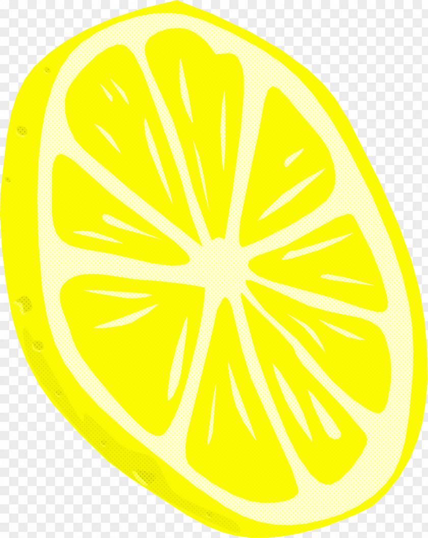 Plant Fruit Lemon Drawing PNG