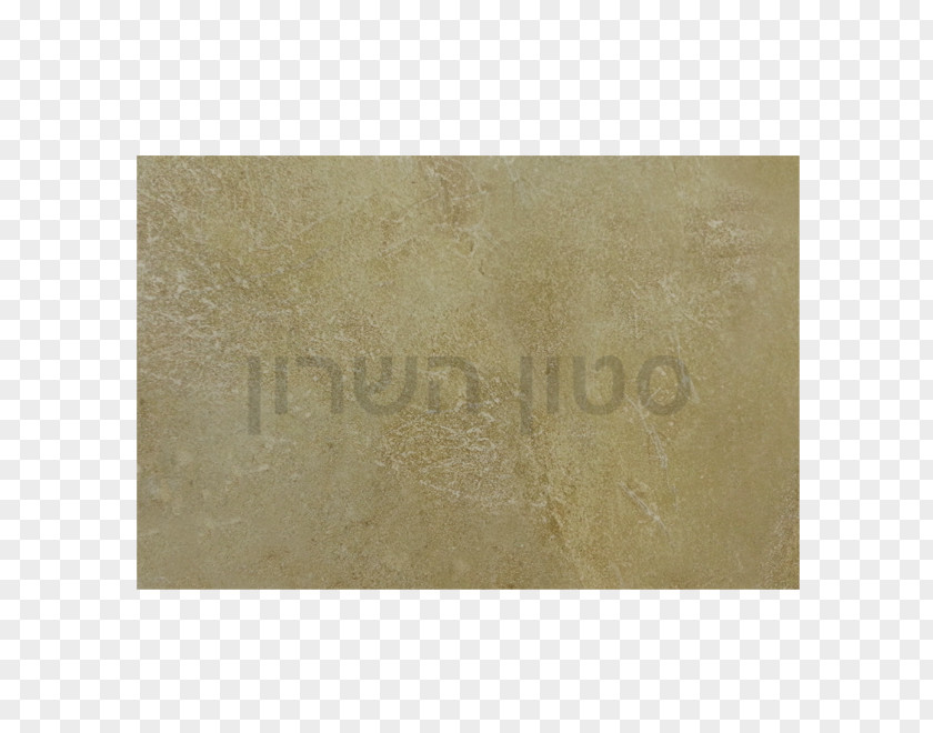 Sharon Stone Floor Tile אריח קרמיקה Porcelain PNG