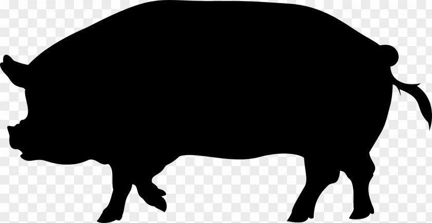 Wild Boar Clip Art Vector Graphics Drawing Stock Illustration PNG