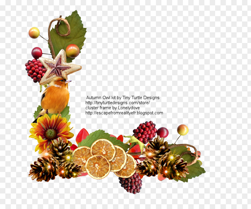 Christmas Ornament Superfood Day Fruit PNG