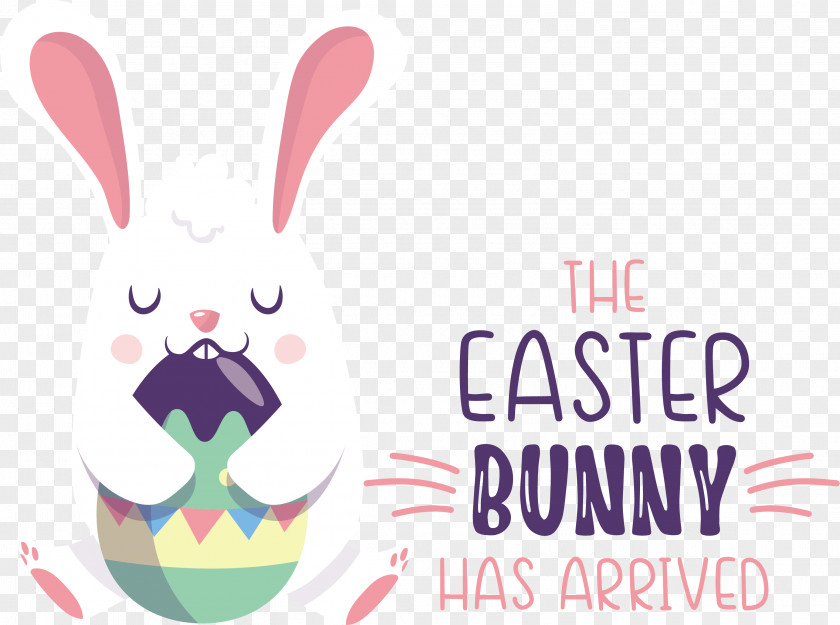 Easter Bunny PNG