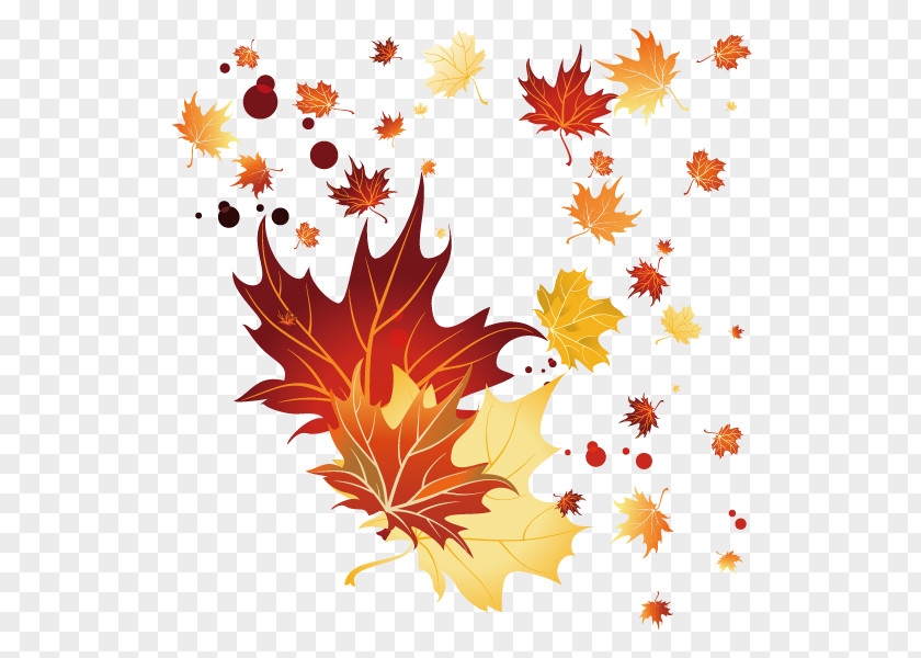 Fall,Leaves,decoration Maple Leaf Autumn PNG