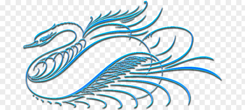 Feather Line Fish Clip Art PNG