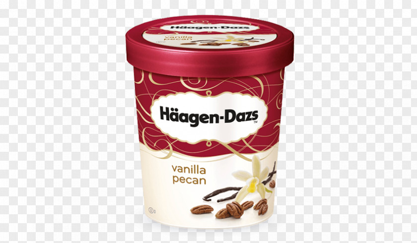 Ice Cream Chocolate Praline Häagen-Dazs Milk PNG