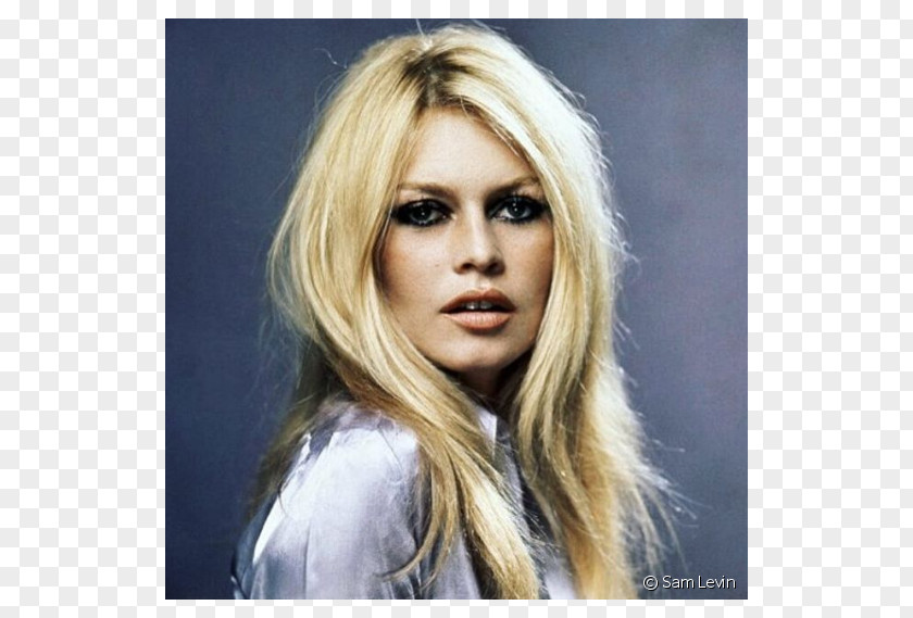 Rita Ora Brigitte Bardot Contempt Photography Photographer Actor PNG