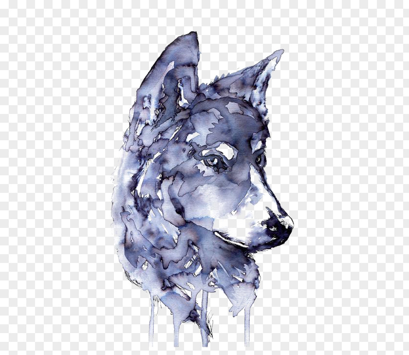 Wolf Gray Watercolor Painting Drawing Printmaking PNG