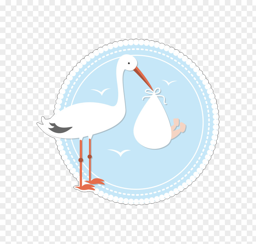 Bird White Stork Vertebrate Crane Flamingos PNG