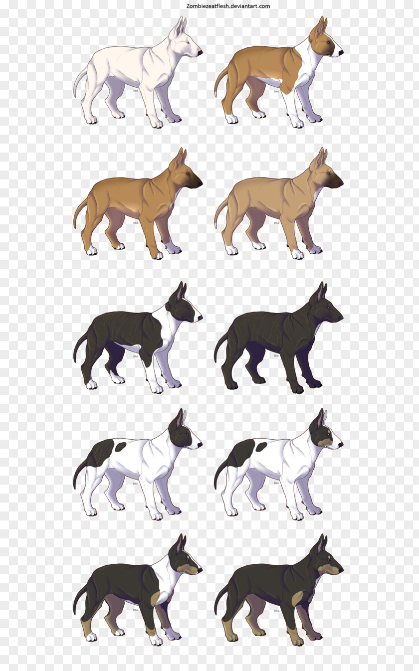 Dog Horse Wildlife Mammal PNG