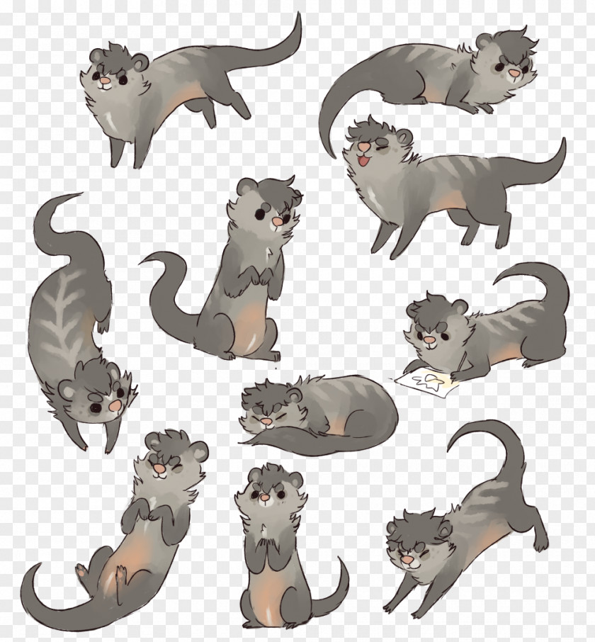 Ferret Cat Mammal Carnivora Animal PNG