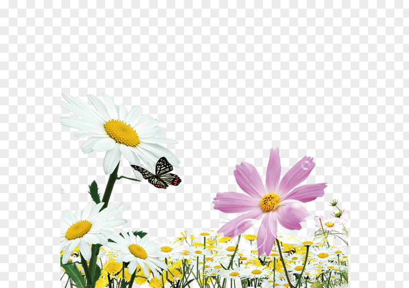 Floating Flowers Butterfly Natural Environment Euclidean Vector Computer File PNG