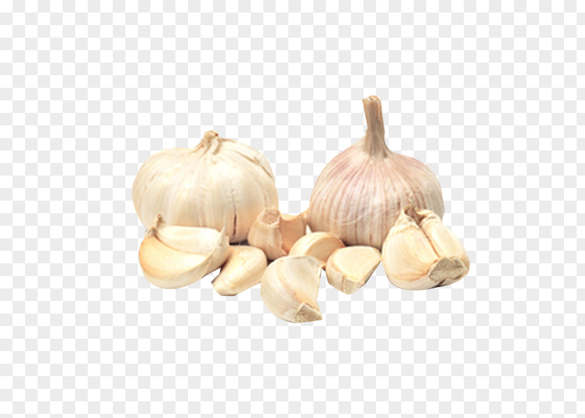 Garlic Crops Elephant Yellow Onion Vegetable Shallot PNG