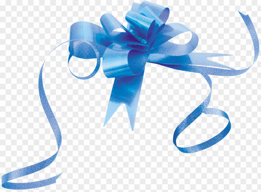 Gift Ribbon Clip Art PNG