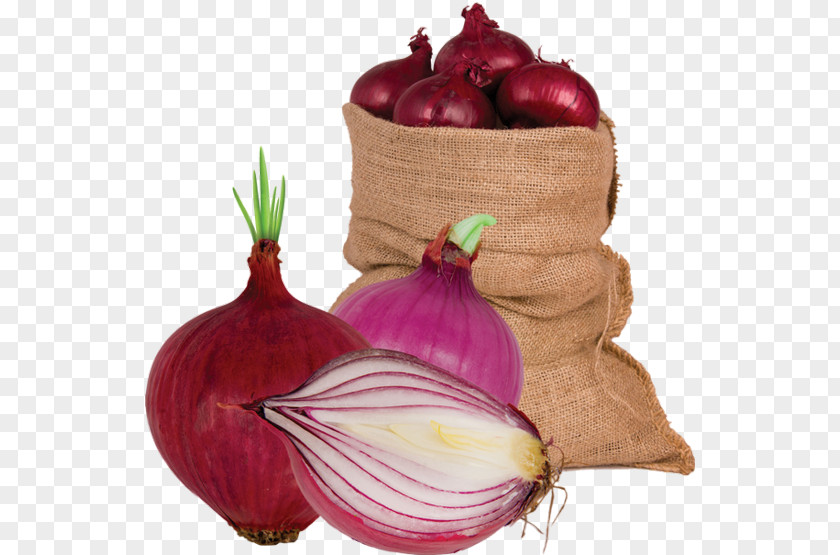 Onions Red Onion Shallot Vegetable Food Garlic PNG