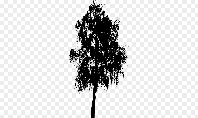 Siluetas Chinas Tree Silhouette Clip Art PNG