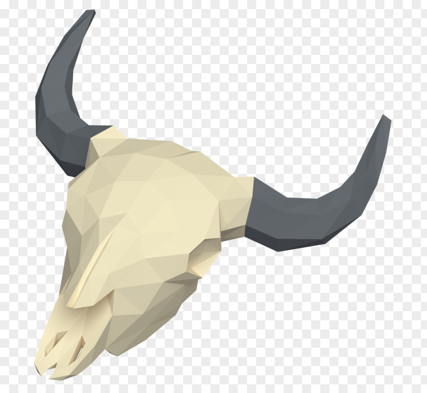 Skull Low Poly Paper Model Anatomy PNG