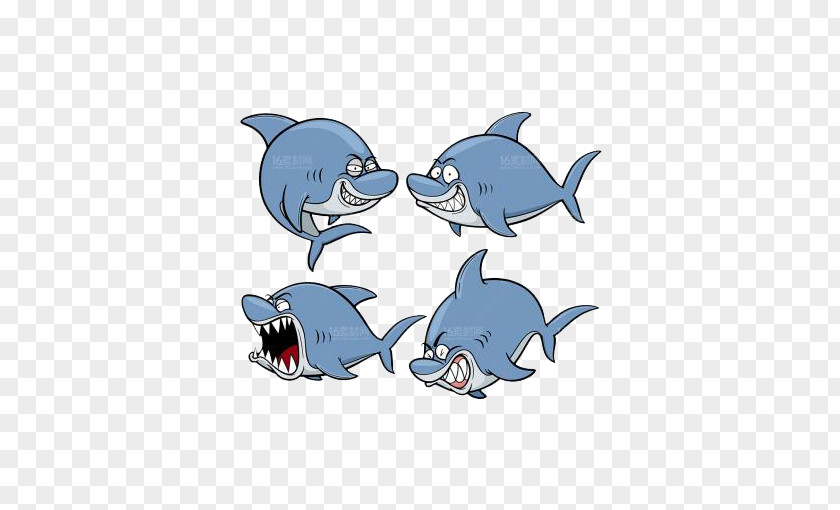 Blue Dolphin Shark Cartoon Illustration PNG