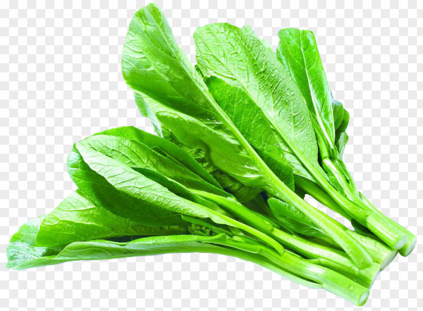Cabbage Vegetables Asian Cuisine Leaf Vegetable Chinese PNG