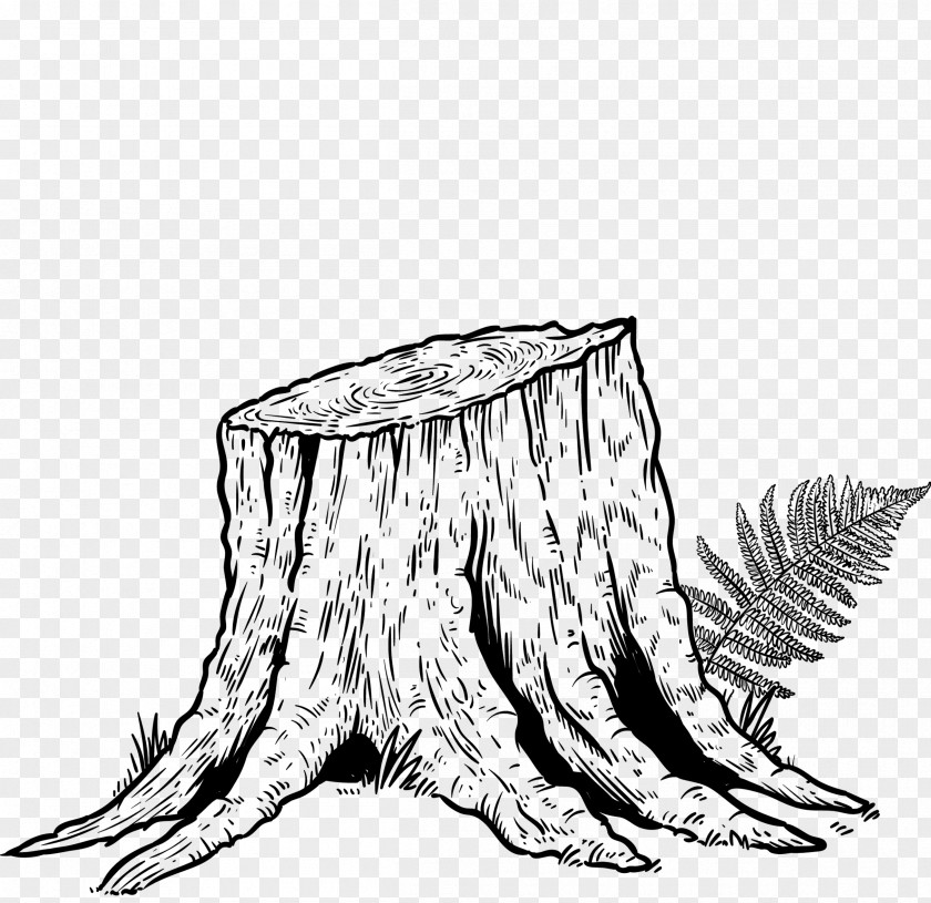 Coloring Book Plant Tree Trunk Drawing PNG