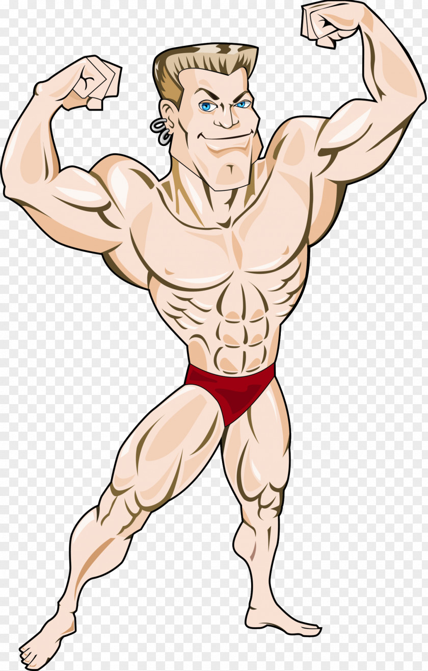 Health And Fitness Coach Muscle Tissue Bodybuilding Illustration PNG