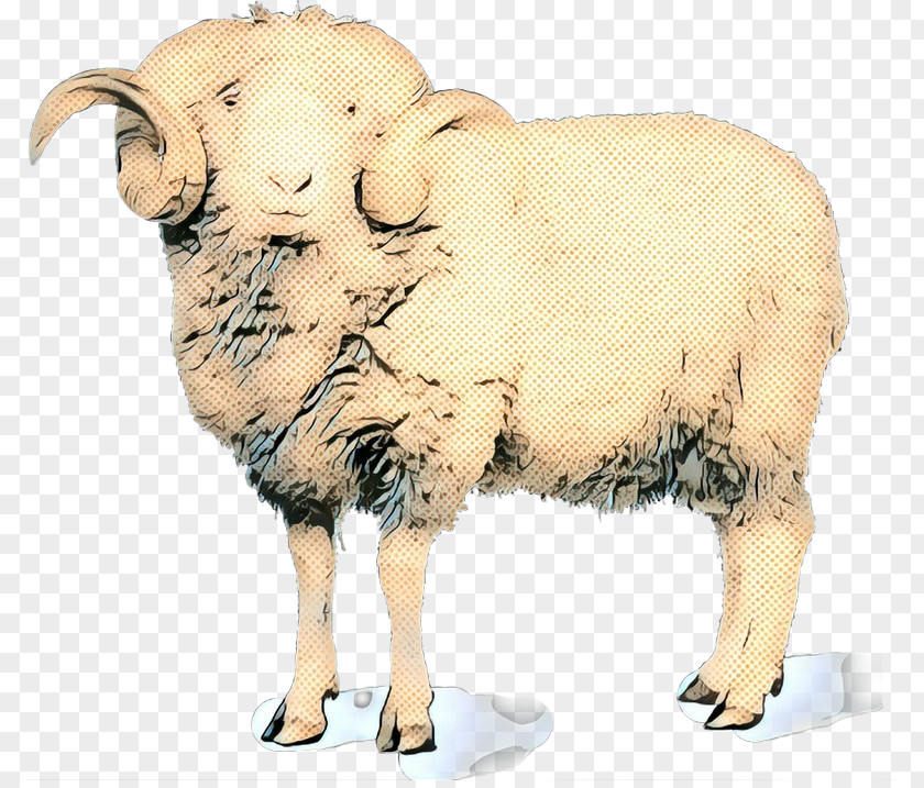 Sheep Cattle Ox Terrestrial Animal Snout PNG