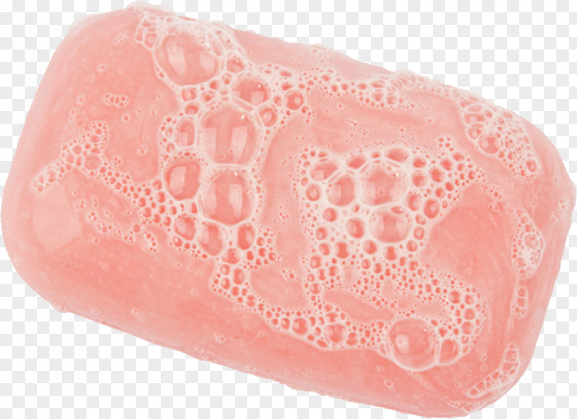 Soap Dish Washing Antibacterial Bathing PNG