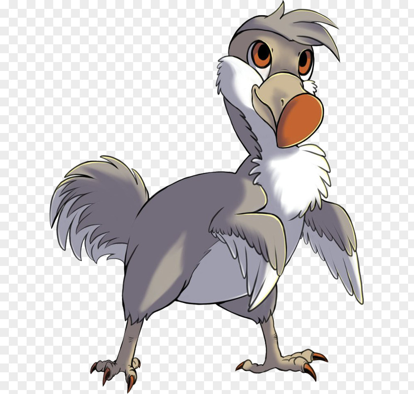 Bird Rooster Beak Vulture PNG