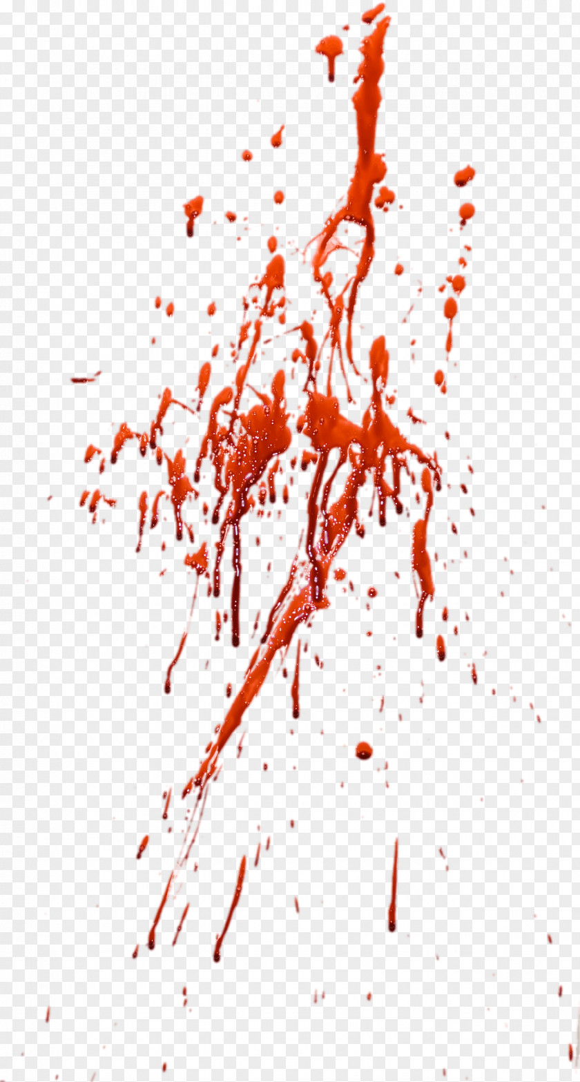 Blood Image Residue Red PNG