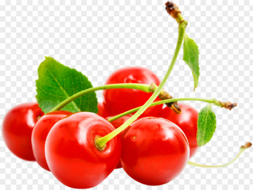 Cherry Cerasus Sweet Sorbet PNG