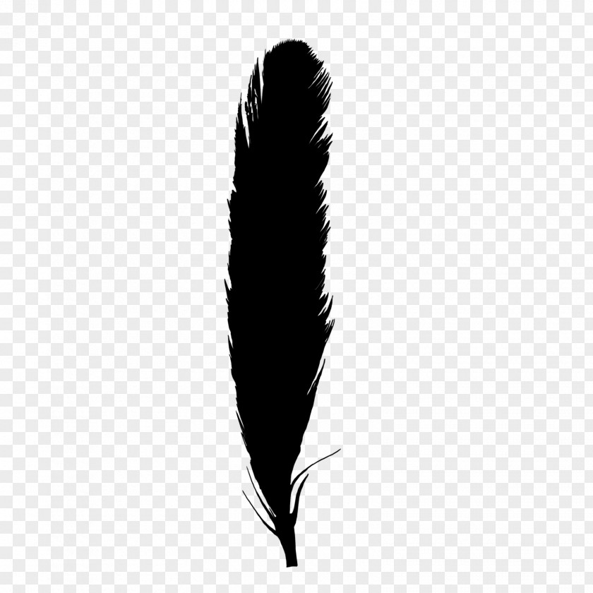 Feather Black And White Monochrome Photography PNG