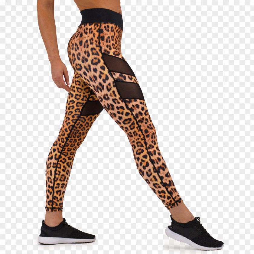 Leopard Leggings Sportswear Yoga Pants Tights PNG