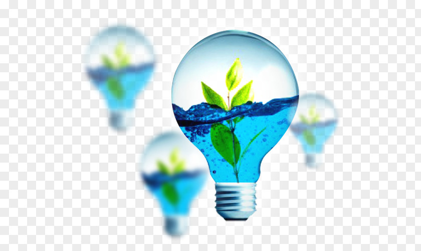Light Incandescent Bulb Natural Environment Ecology Electrical Energy PNG