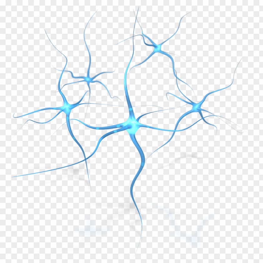 Neurons Neuron Human Brain Neuropsychology Clip Art PNG