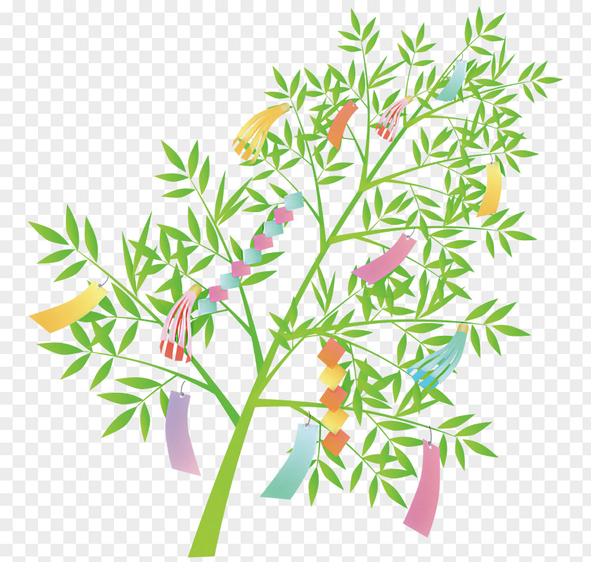 Plant Stem Flower Leaf Tree Herb PNG