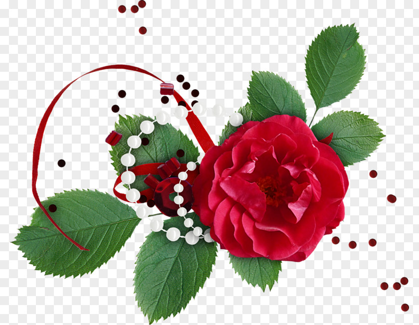Rose Creative Flower Download Clip Art PNG