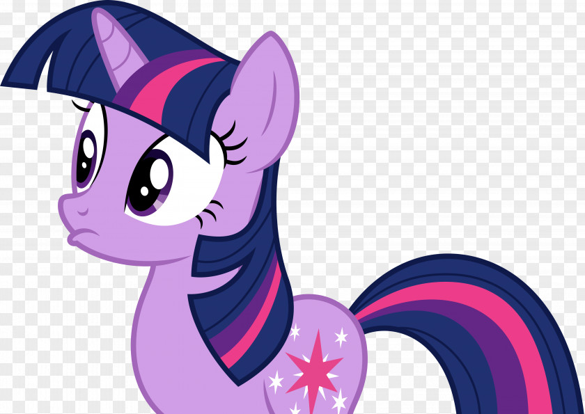 Sparkle Vector Twilight Princess Cadance Pony Celestia Rainbow Dash PNG