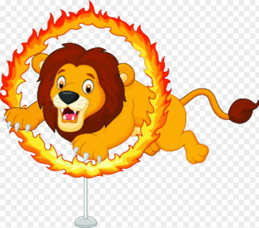 A Lion Who Crosses Circle Of Fire Cartoon Circus Illustration PNG