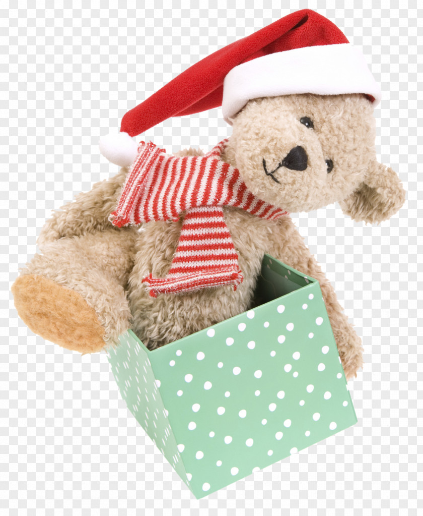 Christmas Bear Santa Claus Gift PNG