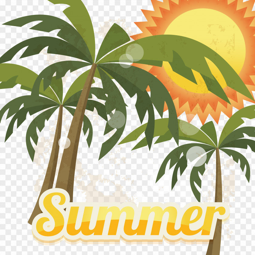 Coconut Tree Download Summer Photography Euclidean Vector Illustration PNG