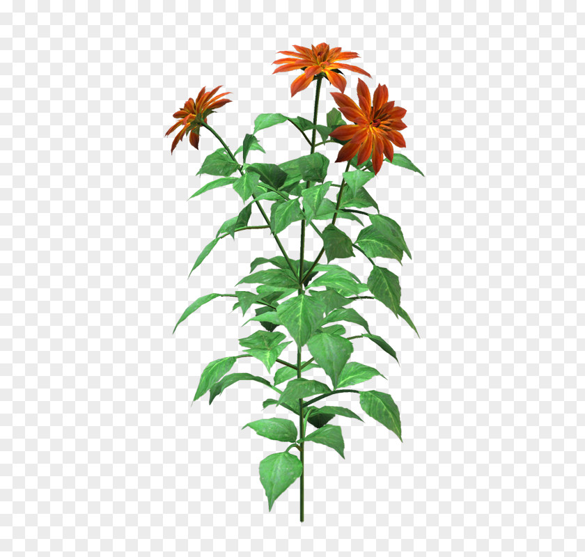 Flower LiveInternet Clip Art PNG